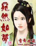 宛然如梦封面