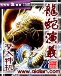 龙蛇演义封面