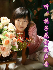 �������ӻ���������