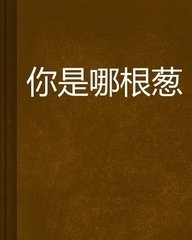 �����ĸ���