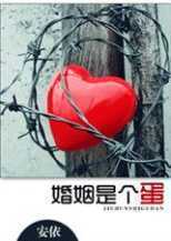 �����Ǹ���