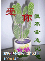 ���㵫����������