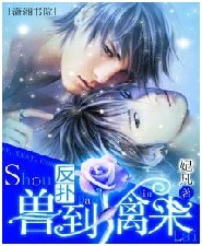 ����--�޵���������