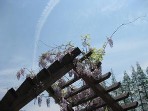 (����)�ƶ���������