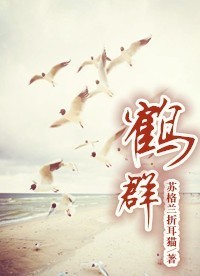 ��Ⱥ����