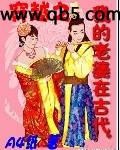 穿越之我的老婆在古代封面