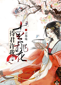 待君许我十里红妆封面