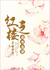 (红楼同人)红楼之荣华春景封面