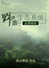 ��������Ұ����̬ϵͳ����