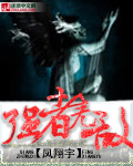 强者无敌封面