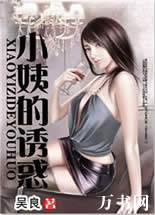 小姨的诱惑封面