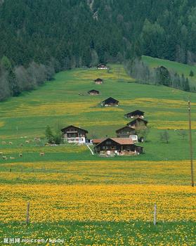 �������·���