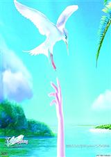 ����,�Ҿ�Ҫ�ӿ������