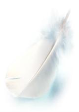 �������Ϸ���