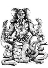 ����(˫�����ӷ���