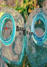 ����ħ�ٷ���