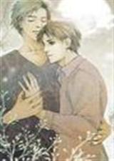 ���η����