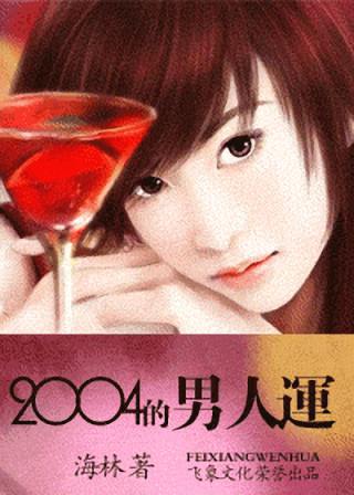 2004�������˷���