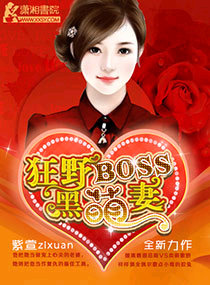 ��ҰBOSS�����޷���