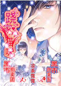 ��ʯ������:�μ�Сè�����