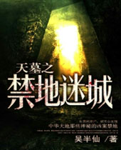 天墓之禁地迷城封面