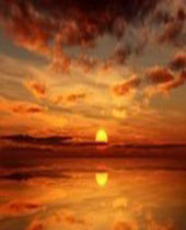 ������������д�