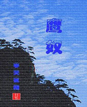 鹰奴封面